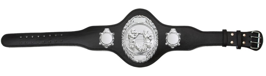 BOXING CHAMPIONSHIP BELT PLT286/S/BOXS-4 COLOURS